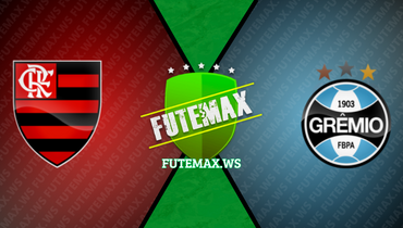 Assistir Flamengo x Grêmio ao vivo online 16/08/2023