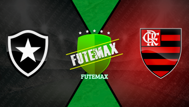 Assistir Botafogo x Flamengo ao vivo online 18/08/2024